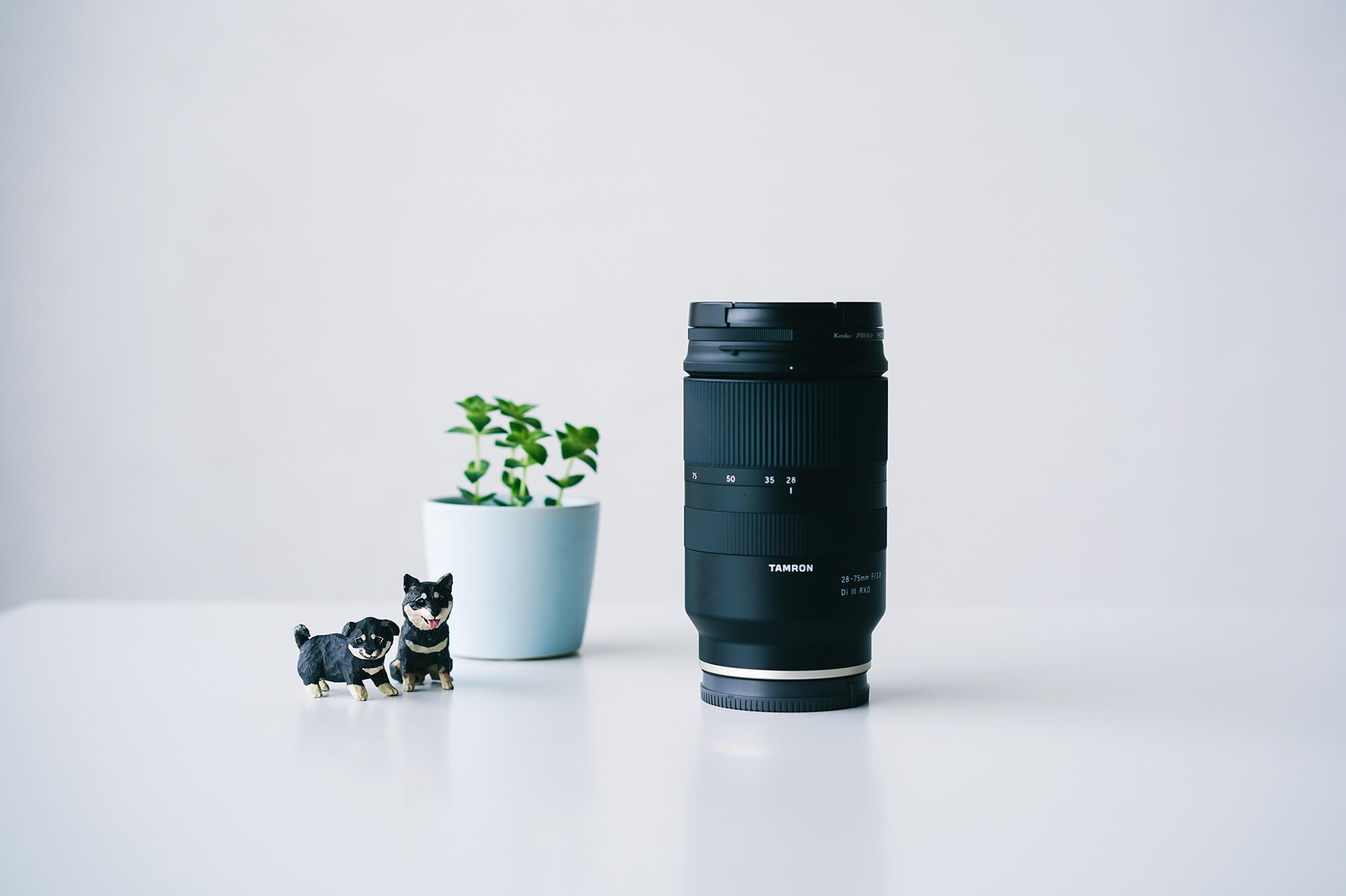 neccoメンバー愛用中！明るくて寄れる標準ズームレンズ「TAMRON 28-75㎜ F2.8」