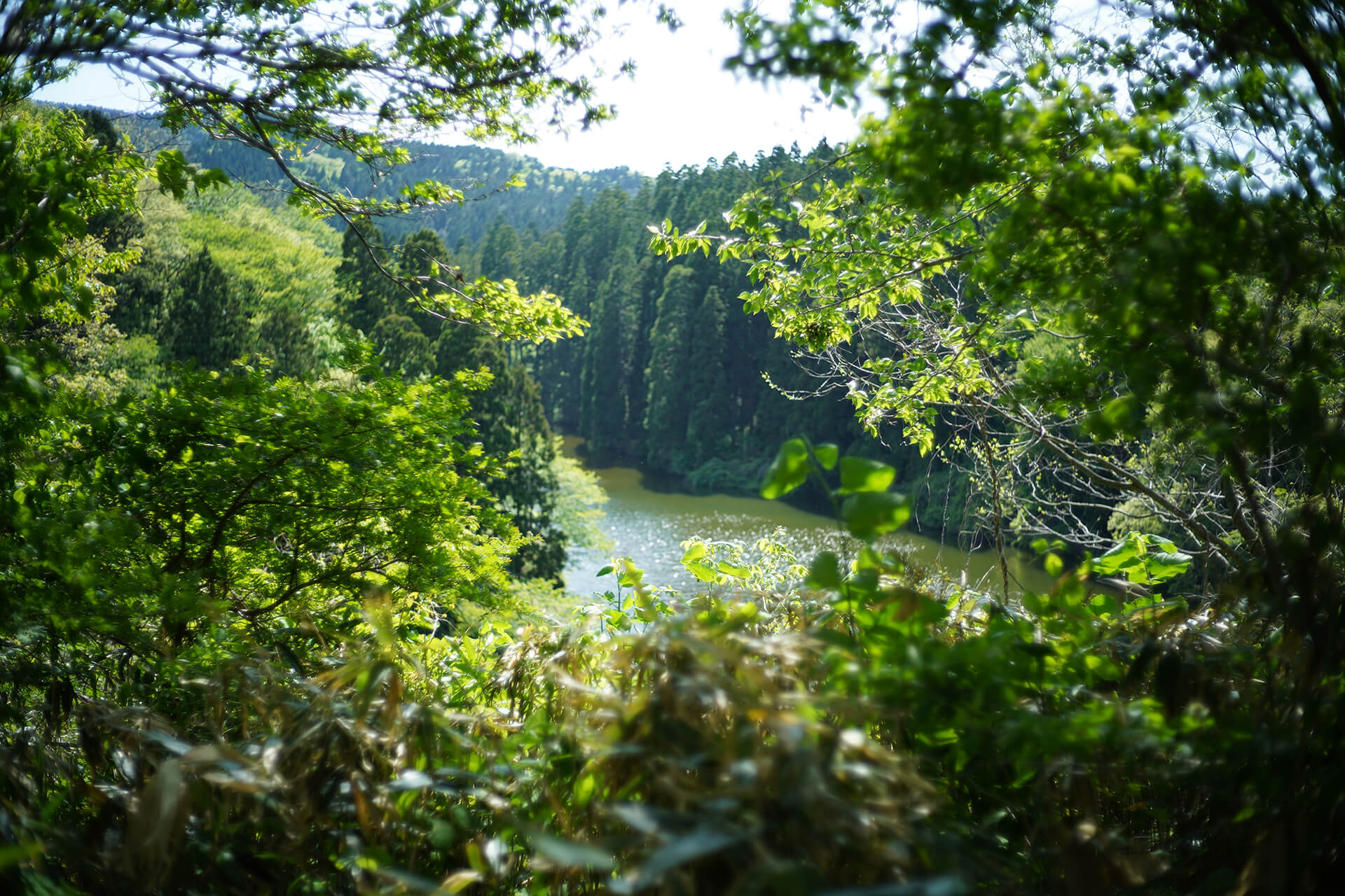 写真展春