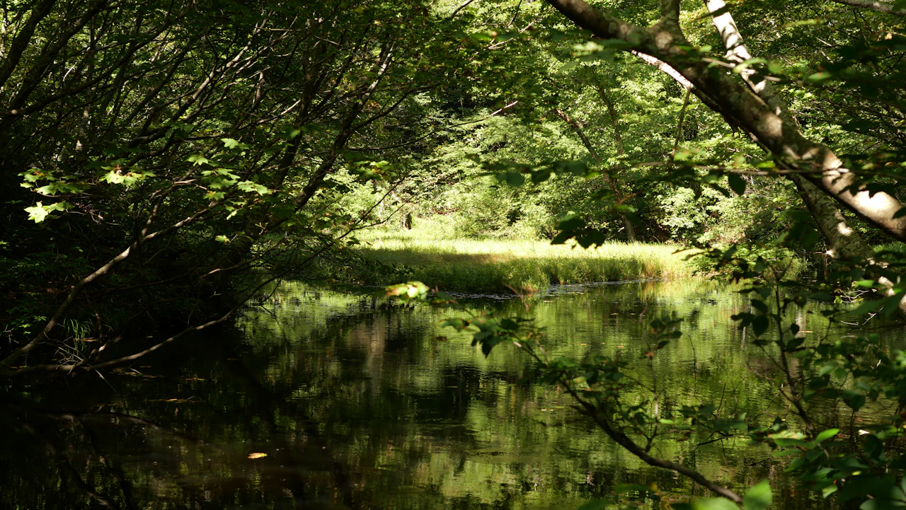 佐渡の音と環境、人
