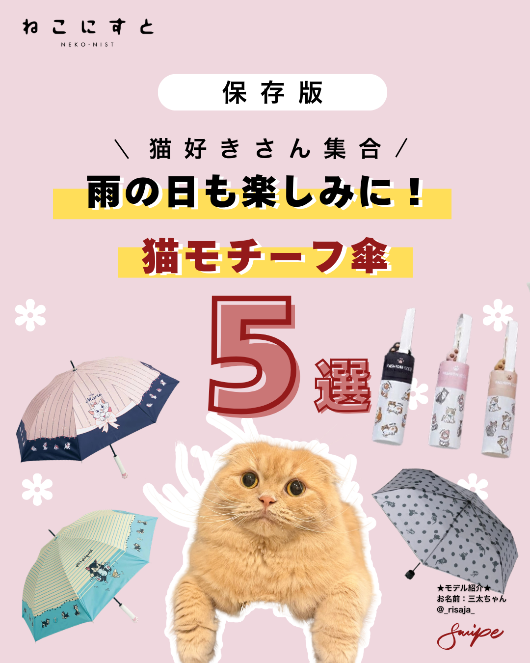 ねこにすと