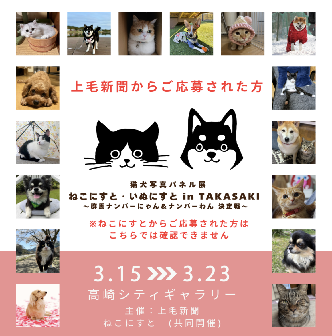 上毛新聞からのご応募）ねこにすと・いぬにすと in TAKASAKI - ねこにすと