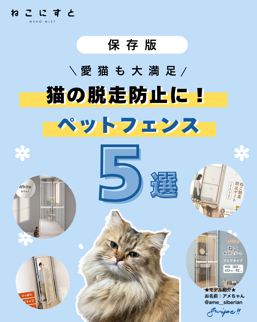 保存版】楽天で買えるおすすめ猫グッズ5選【#PR】 - ねこにすと