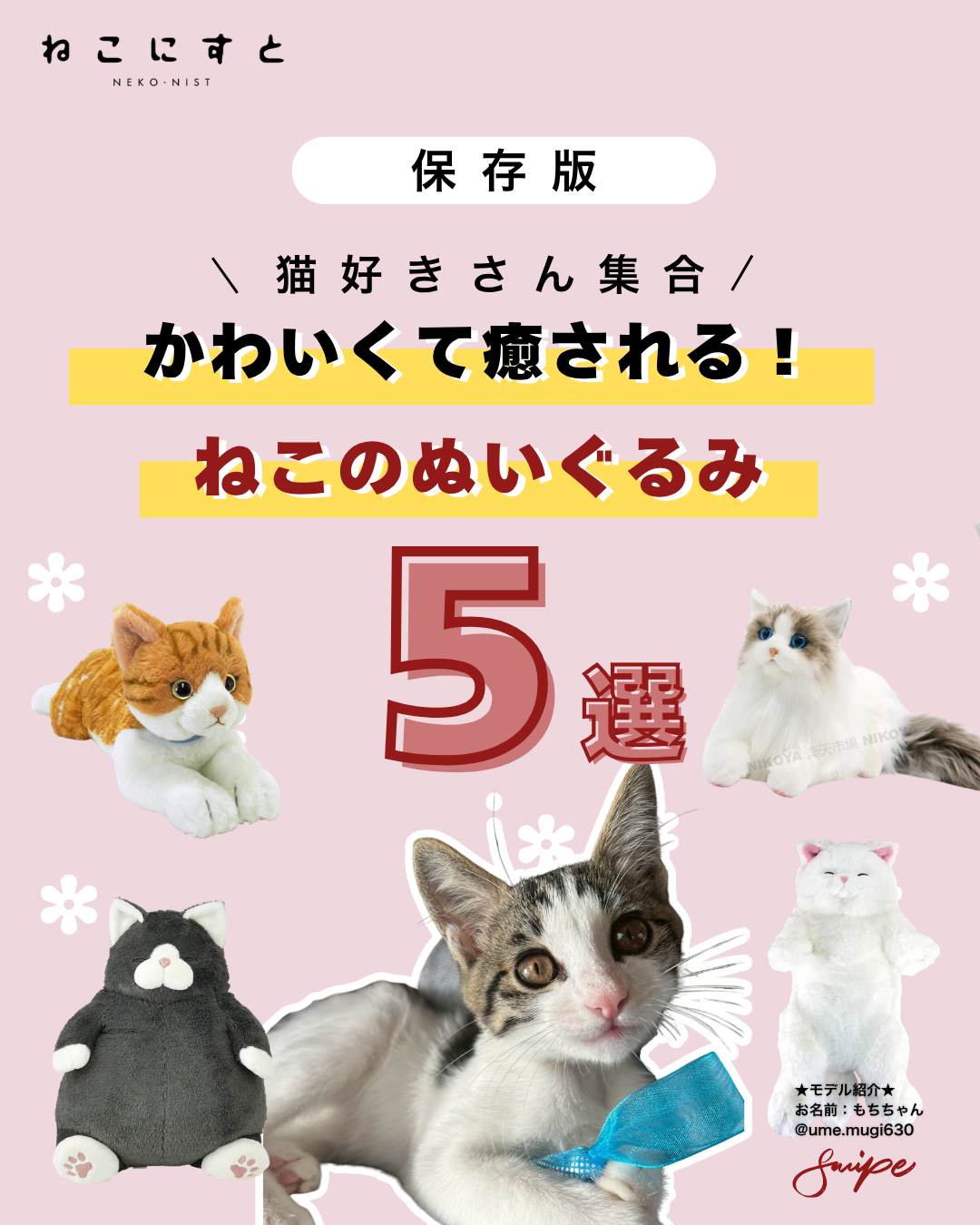 おすすめグッズ - ねこにすと