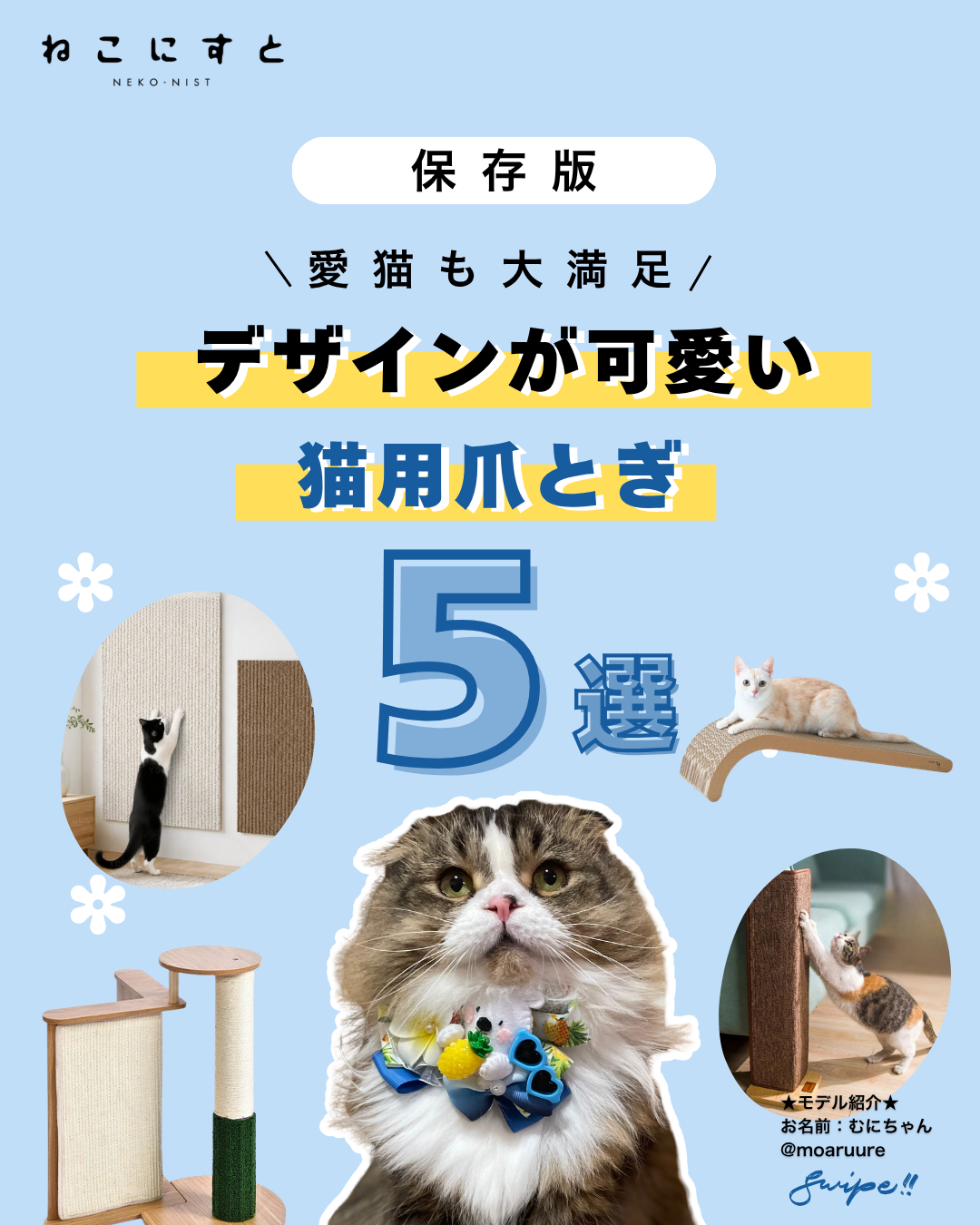おすすめグッズ - ねこにすと