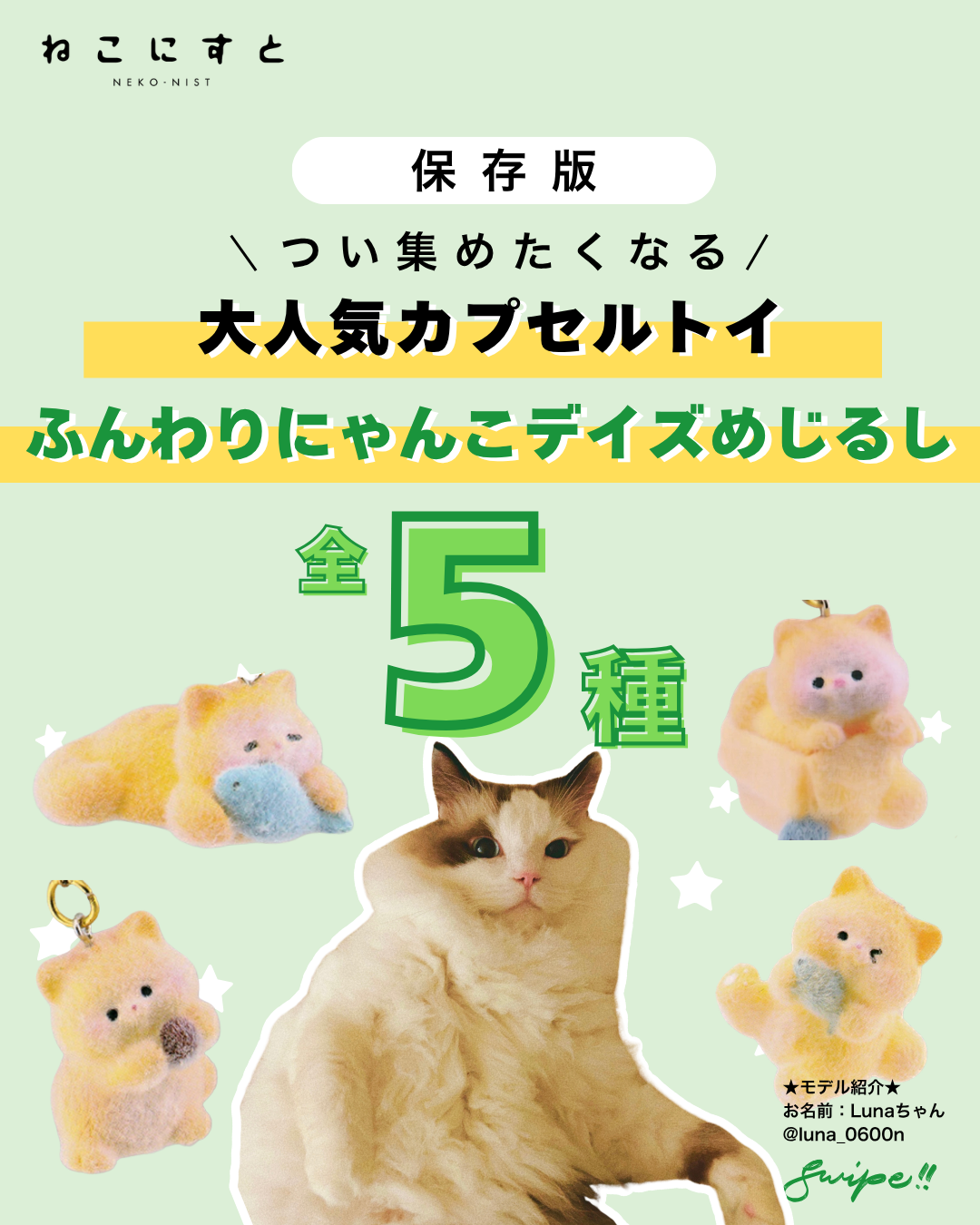 おすすめグッズ - ねこにすと