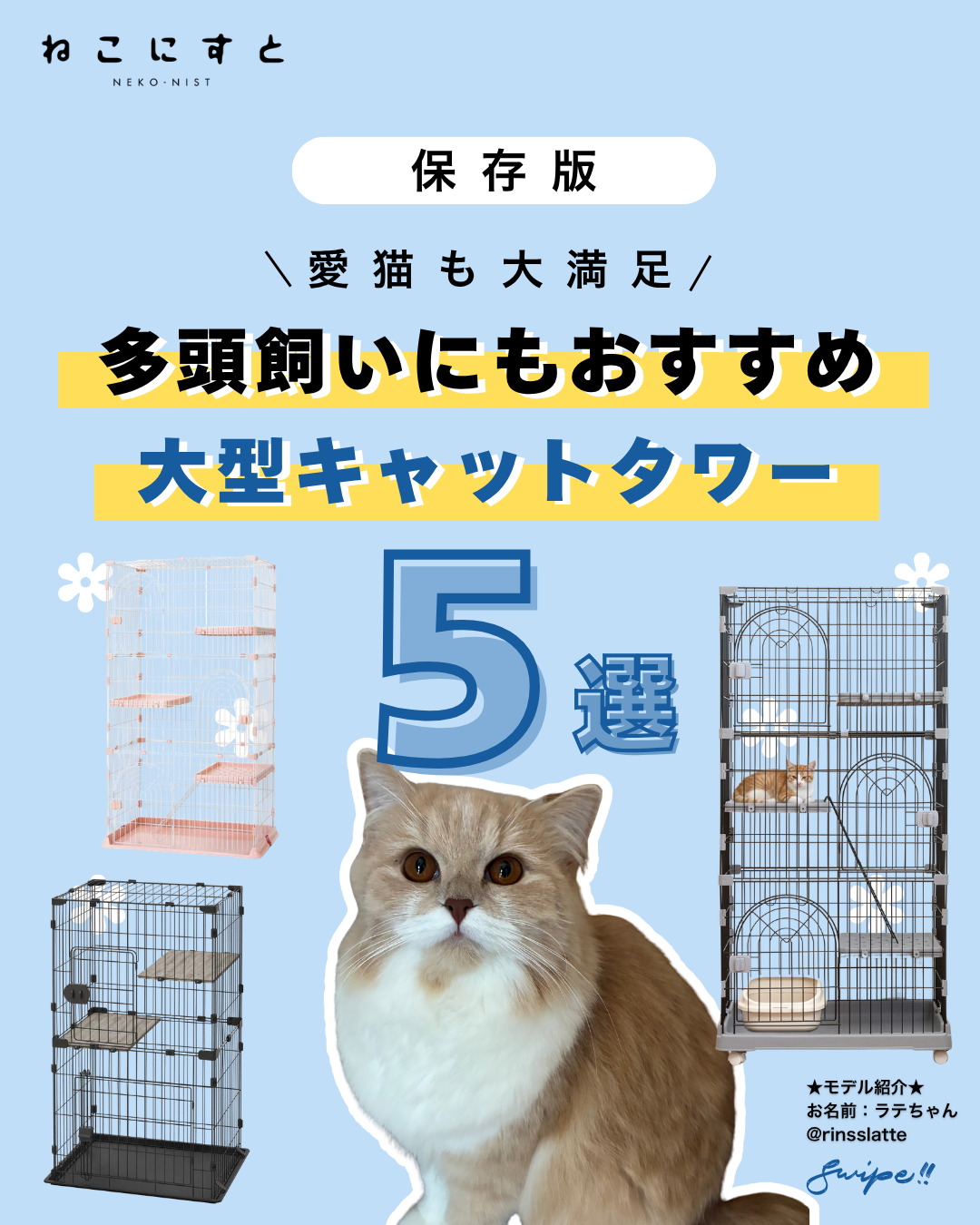 保存版】楽天で買えるおすすめ猫グッズ5選【#PR】 - ねこにすと
