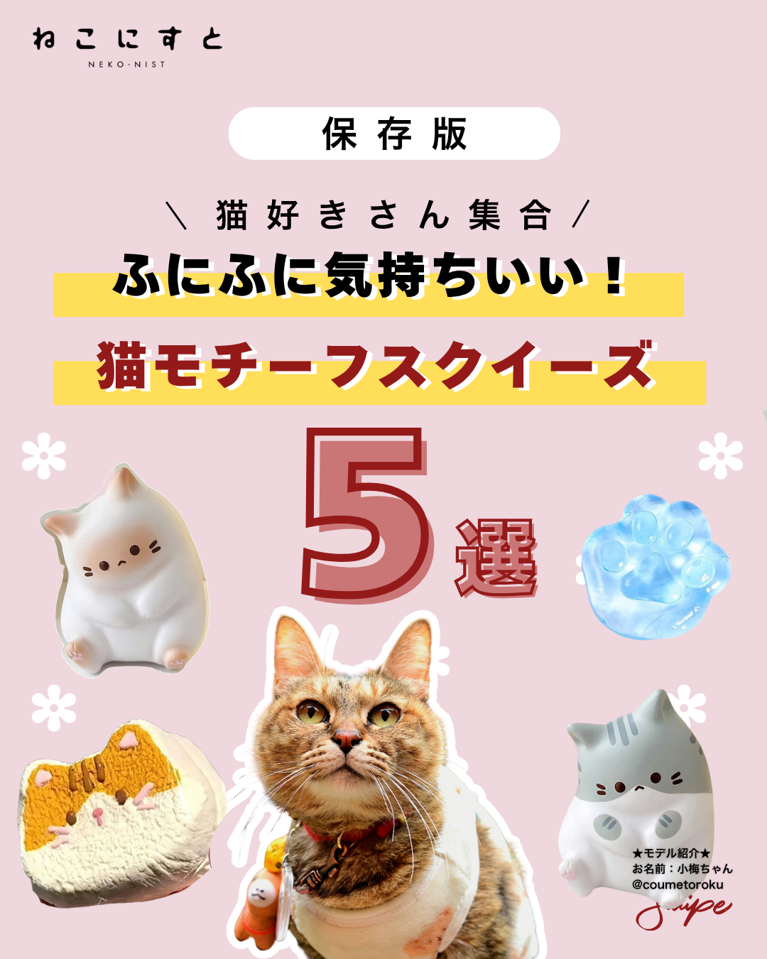 保存版】楽天で買えるおすすめ猫グッズ5選【#PR】 - ねこにすと