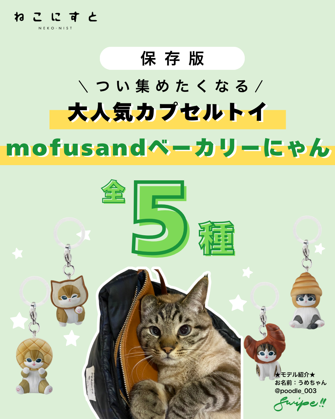 おすすめグッズ - ねこにすと