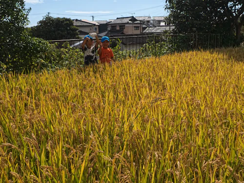 10月誕生会と収穫の秋