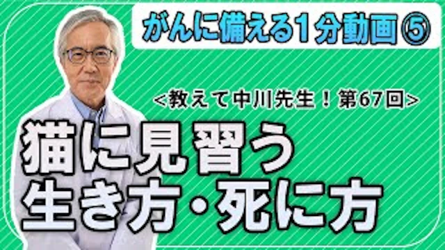 記事のサムネイル画像