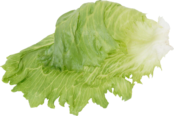 記事のサムネイル画像