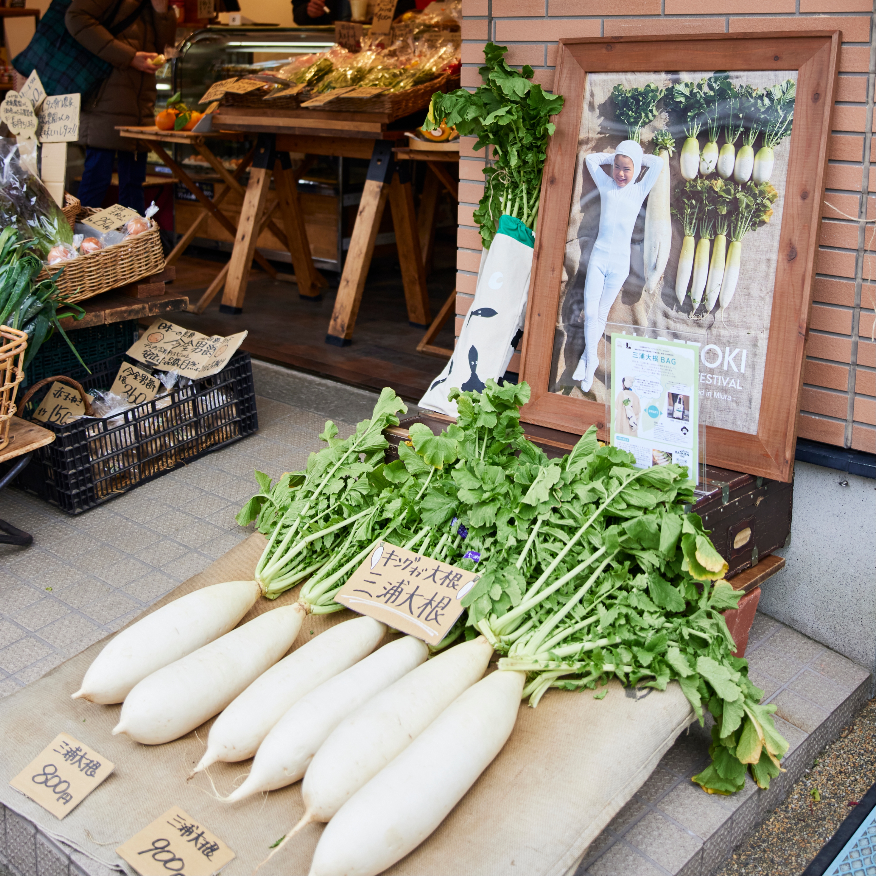 三浦の大根が12種類！朝採れ野菜が揃う八百屋「ハレトキ」のMIURA DAIKON FESTIVAL