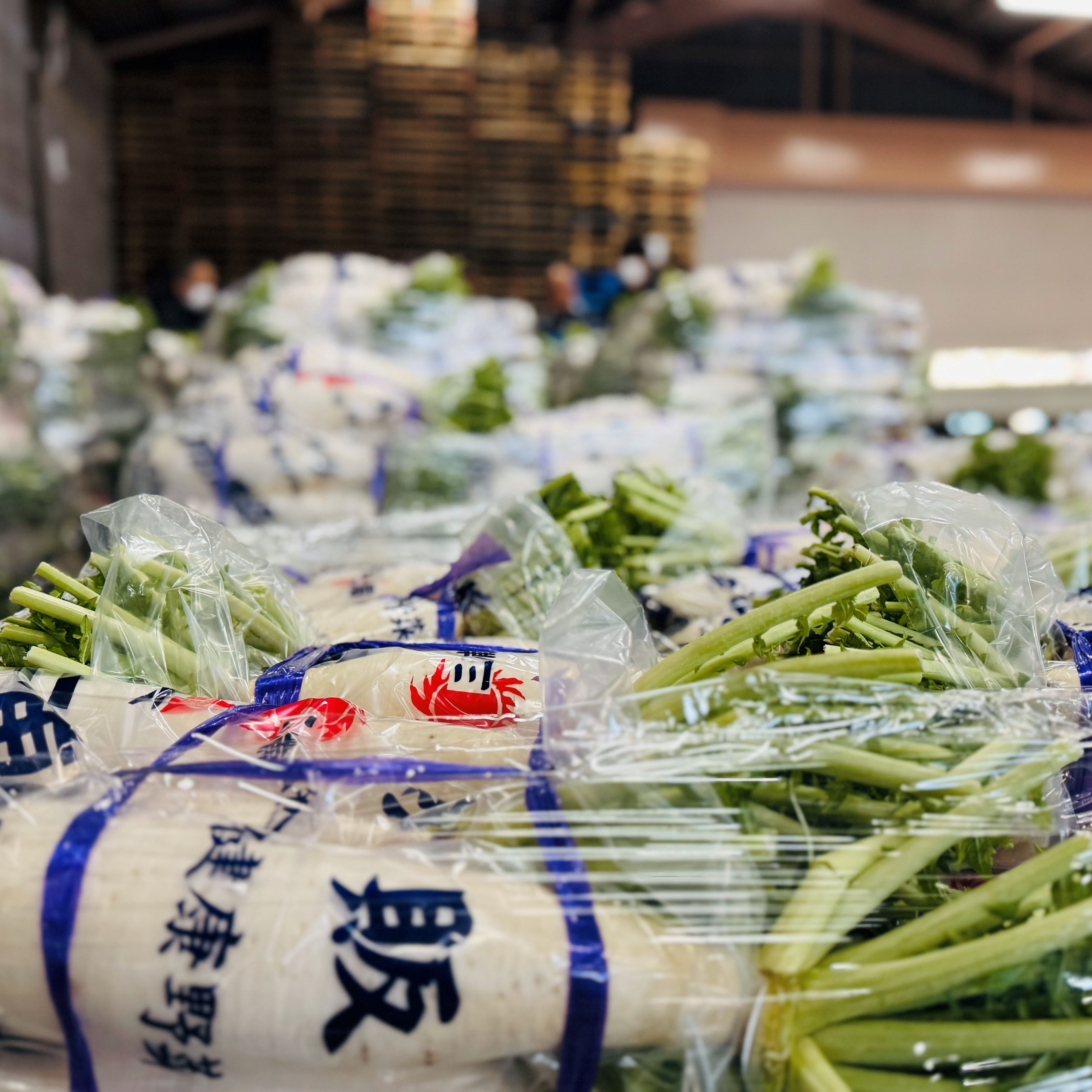 【連載】三浦大根命名100周年デザインPJ⑦100回目の出荷準備始まる。間もなく皆様のお手元に！