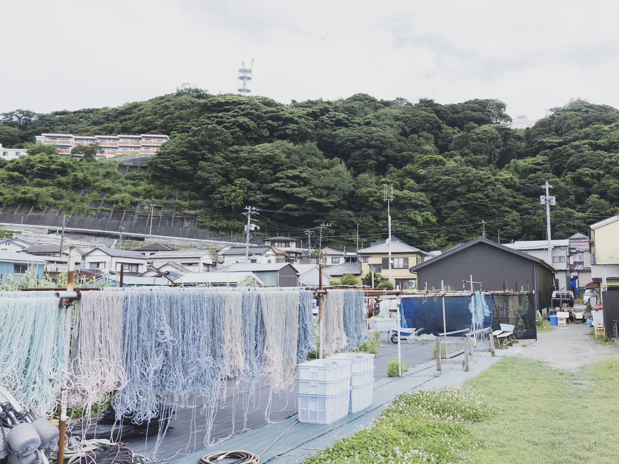画像12