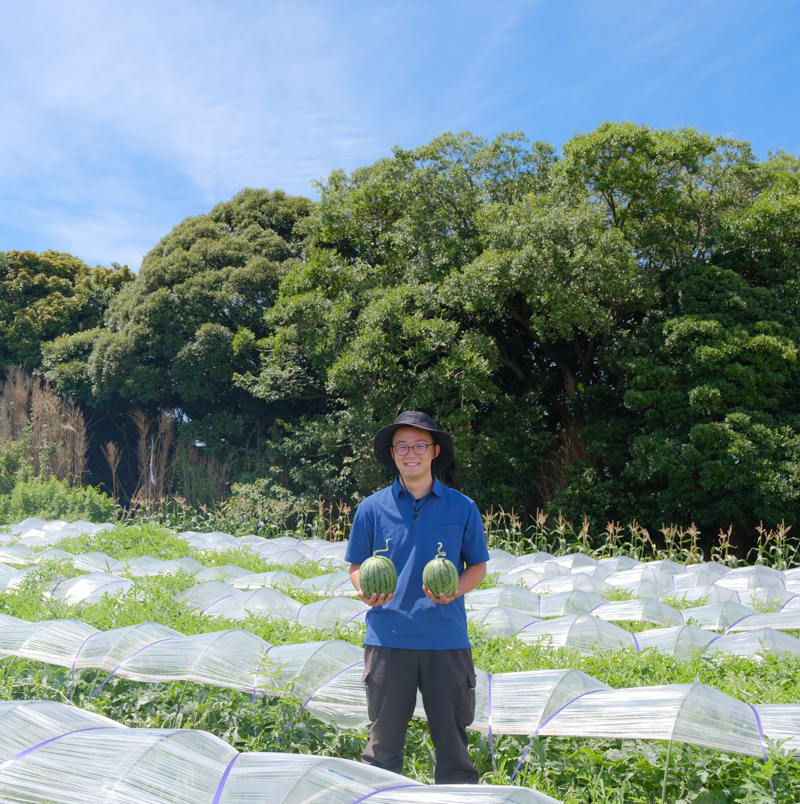 【連載】三浦野菜の作り手を知り、魅力を伝えるデザインプロジェクト 三浦スイカの美味しい秘密④
