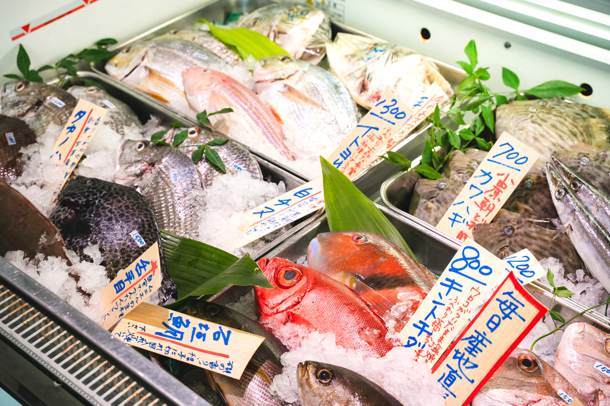 鎌倉】“鎌倉のチベット”に誕生した、新しいスタイルの鮮魚店