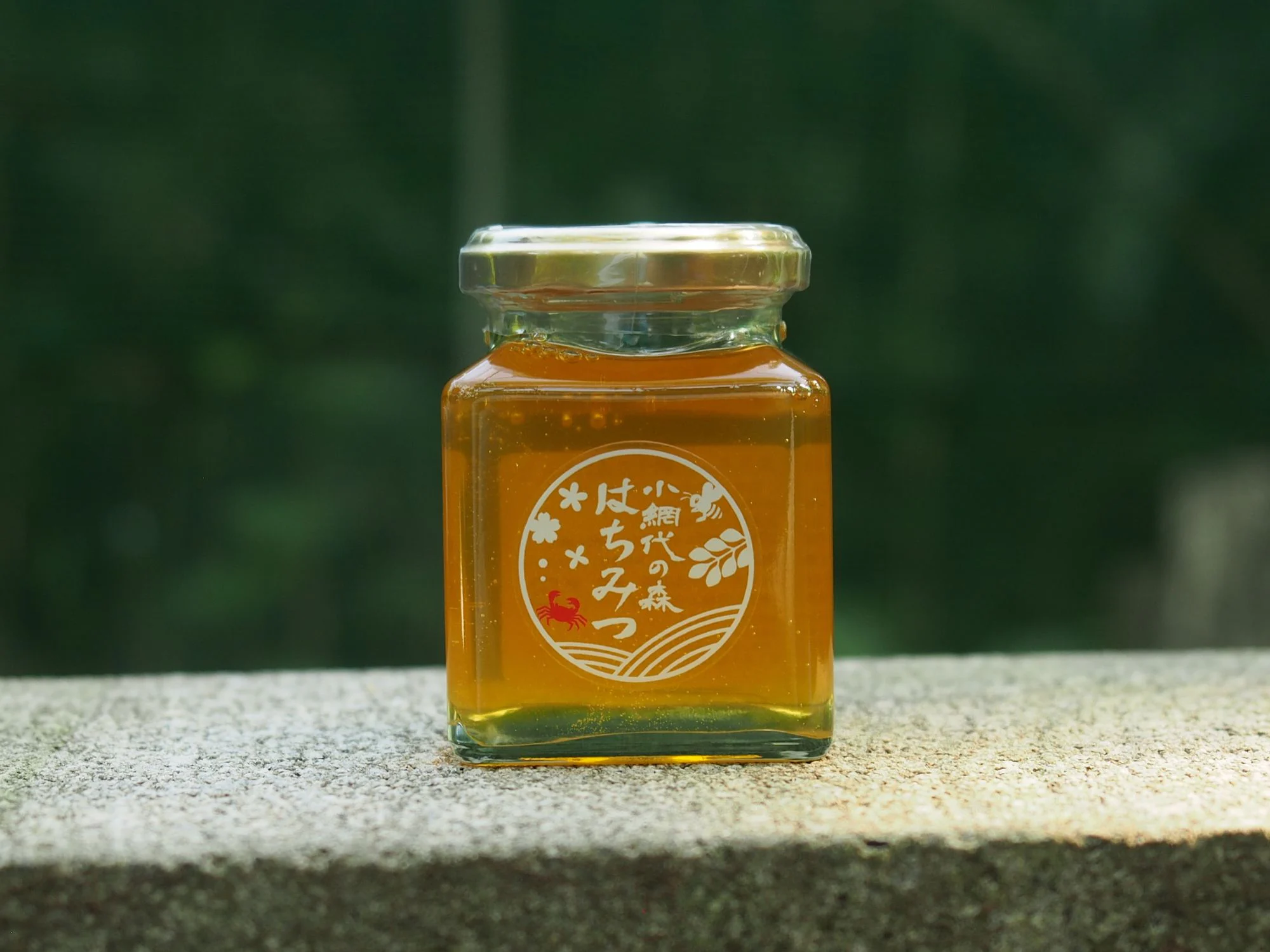 画像2