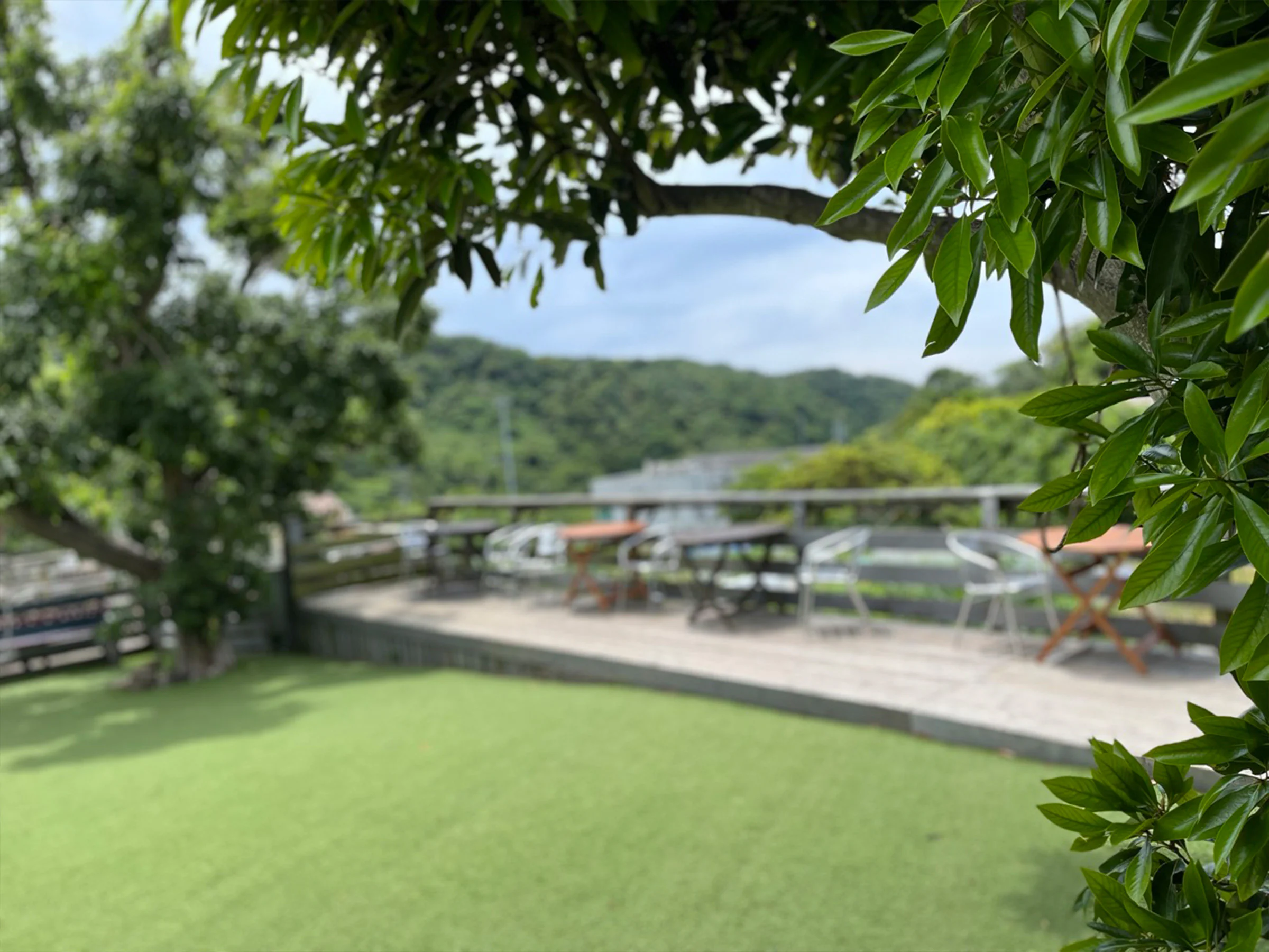 画像5