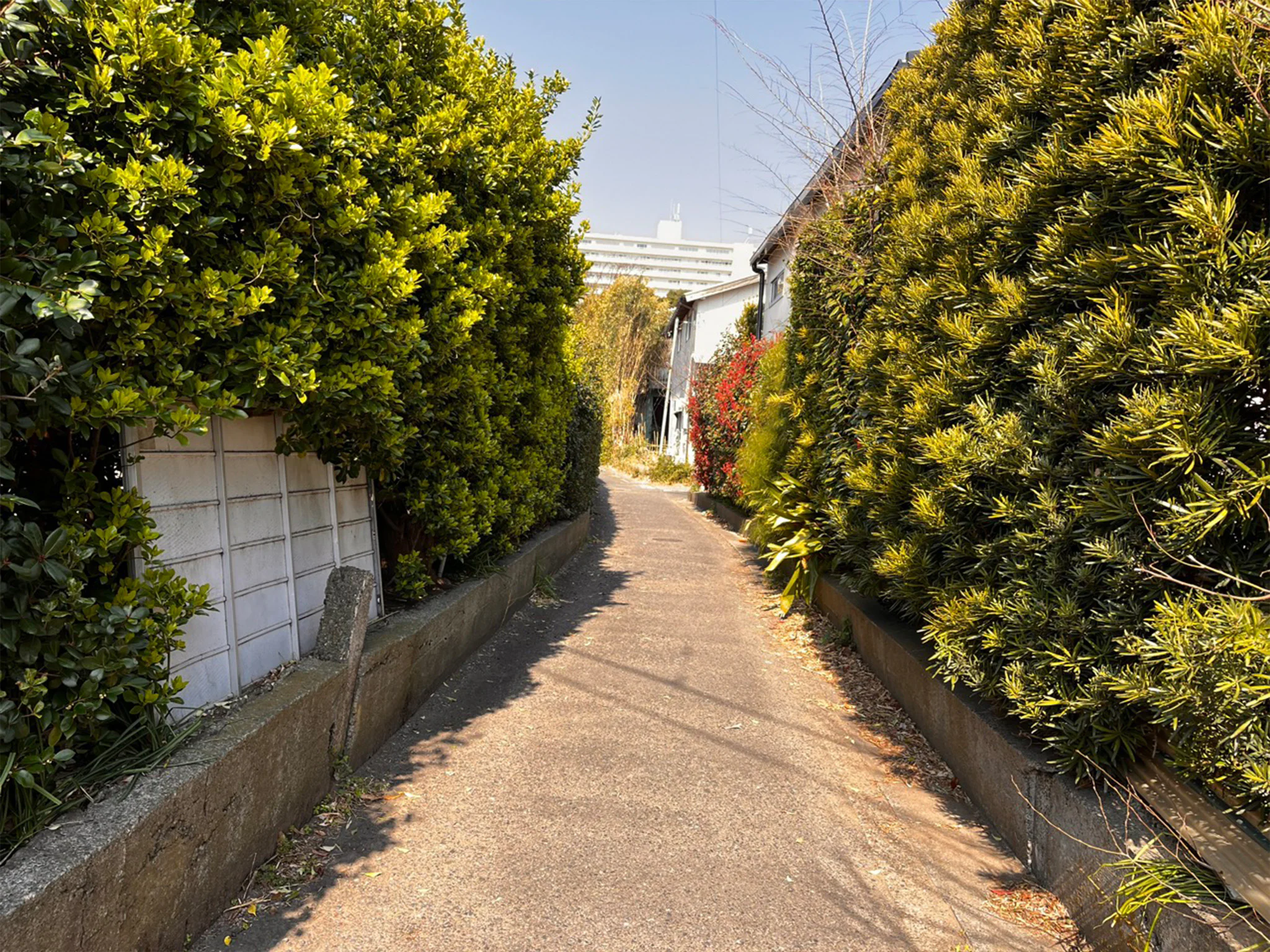 画像14