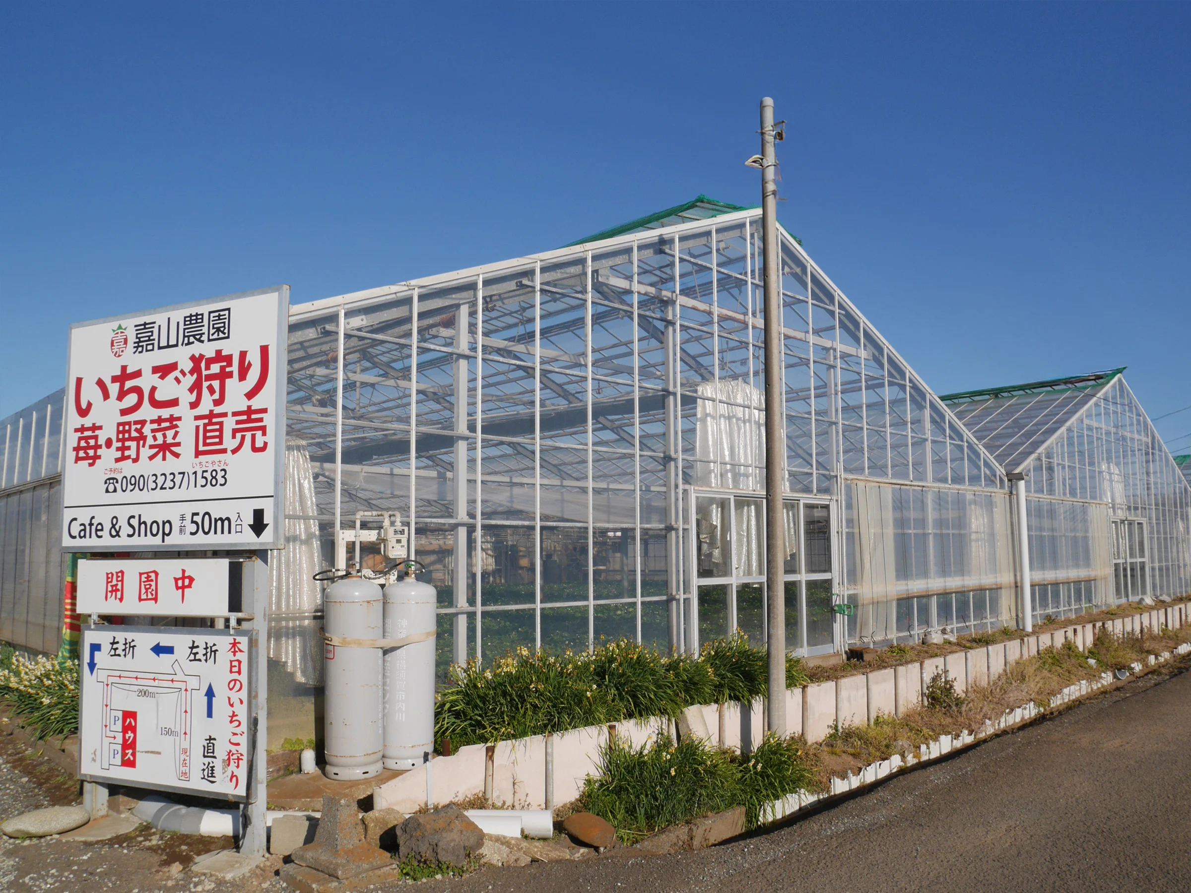 画像14