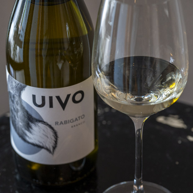 【葉山】愛犬と寄り道したくなる自然派ワイン店「pour vous」で気取らない1本を