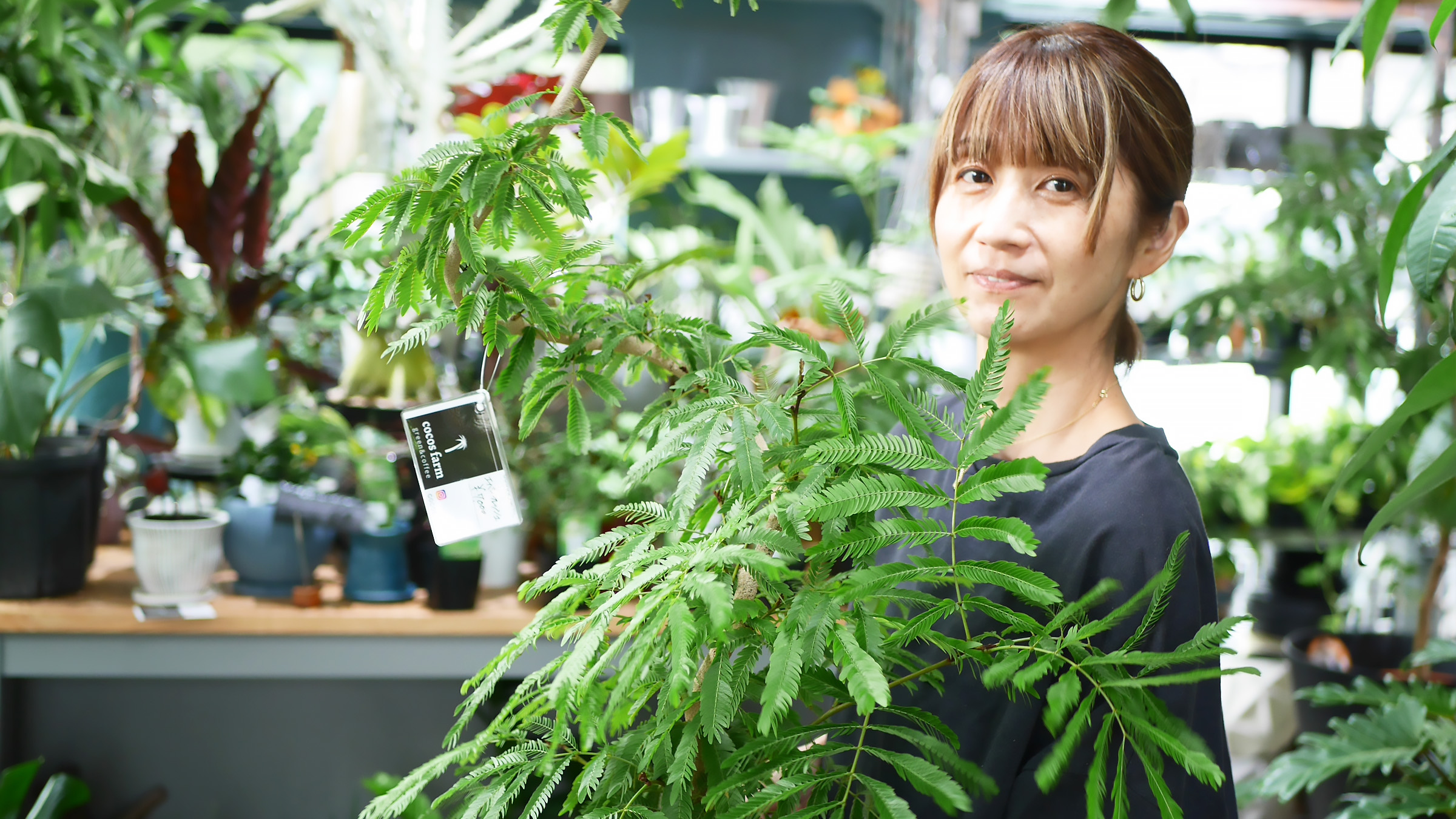 横須賀】300種の観葉植物とケーキに和む！植物ショップカフェ｜cocos