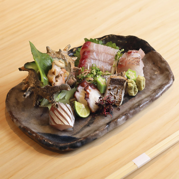 【葉山】「割烹 真」で味わう旬の地魚盛り合わせ。毎日変わるライブ感ある和食体験