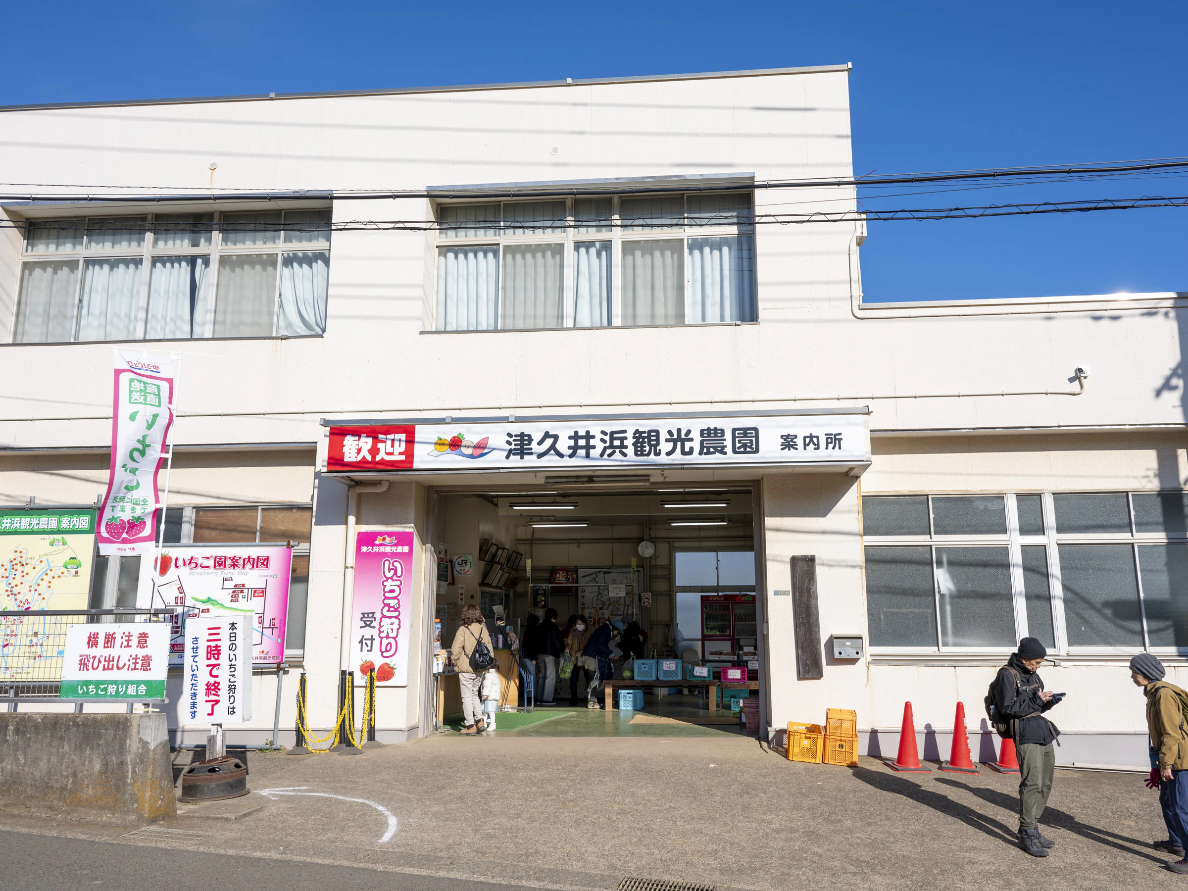 画像5