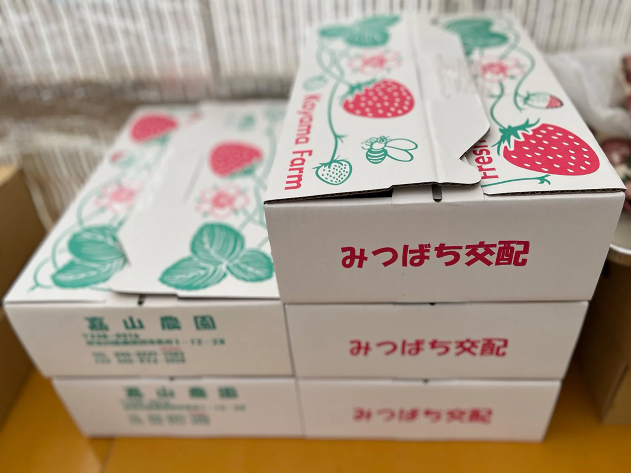 画像13