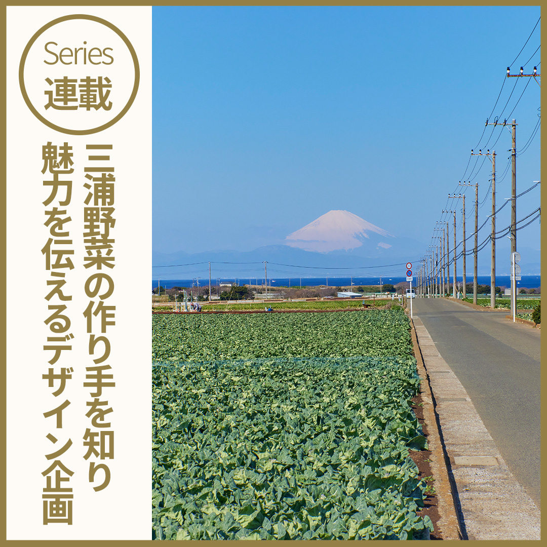 【連載】イラストレーター スズキトモコさんと
三浦野菜の作り手を知り、伝えるデザインプロジェクト