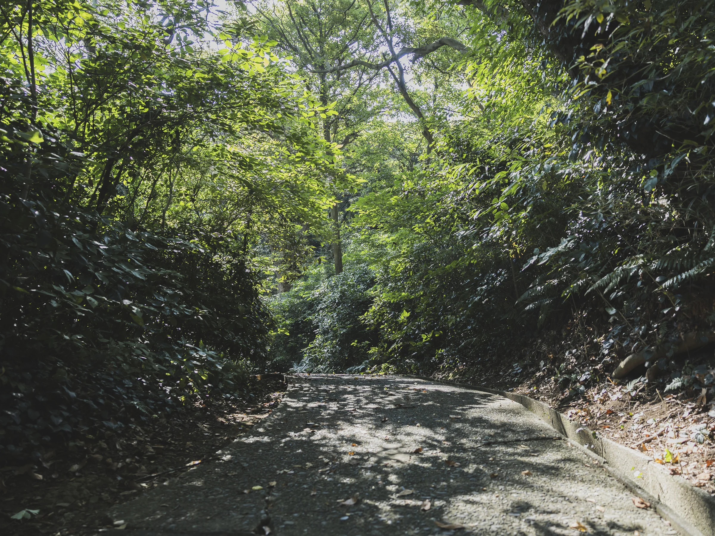 画像14