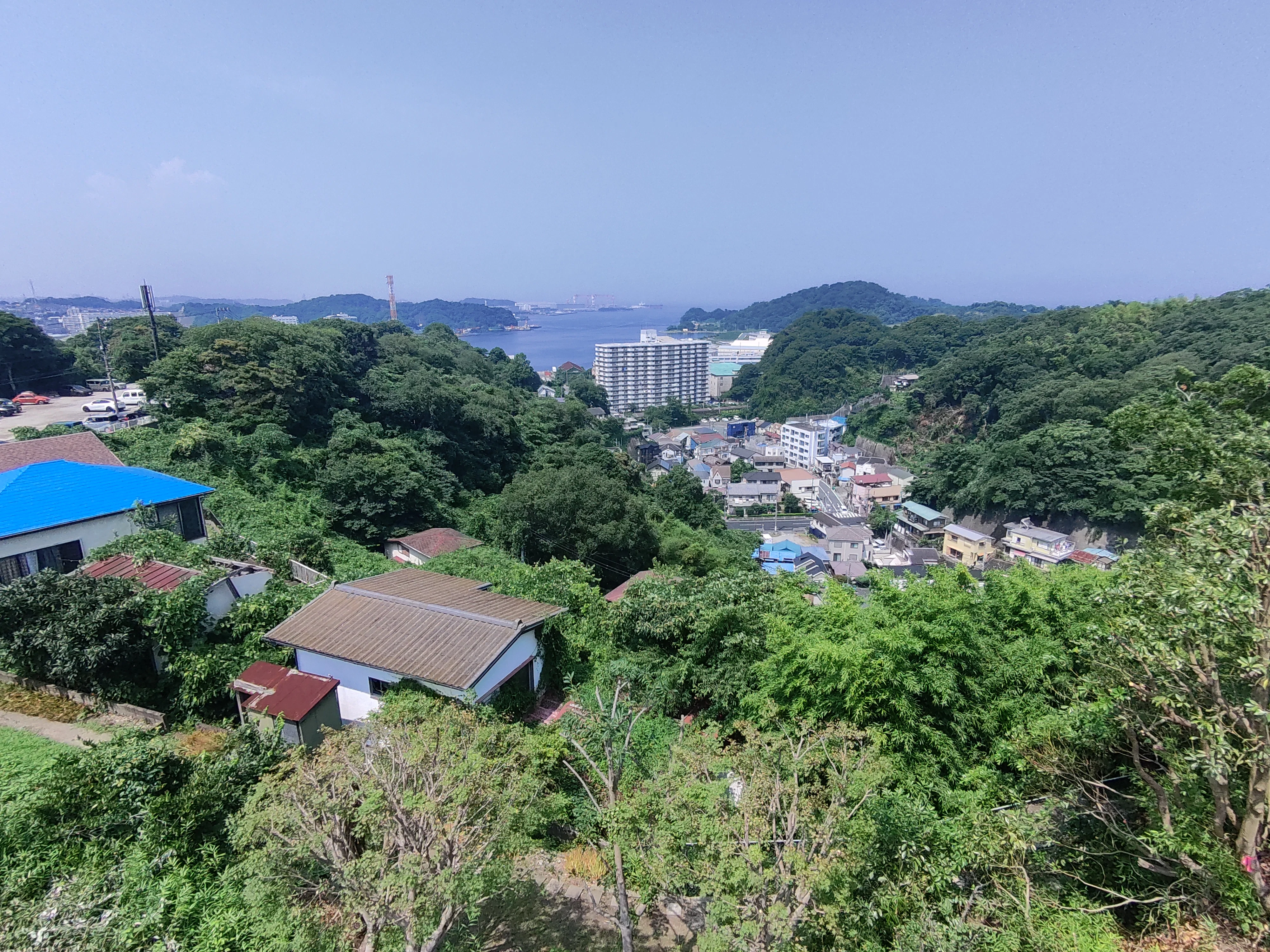画像10