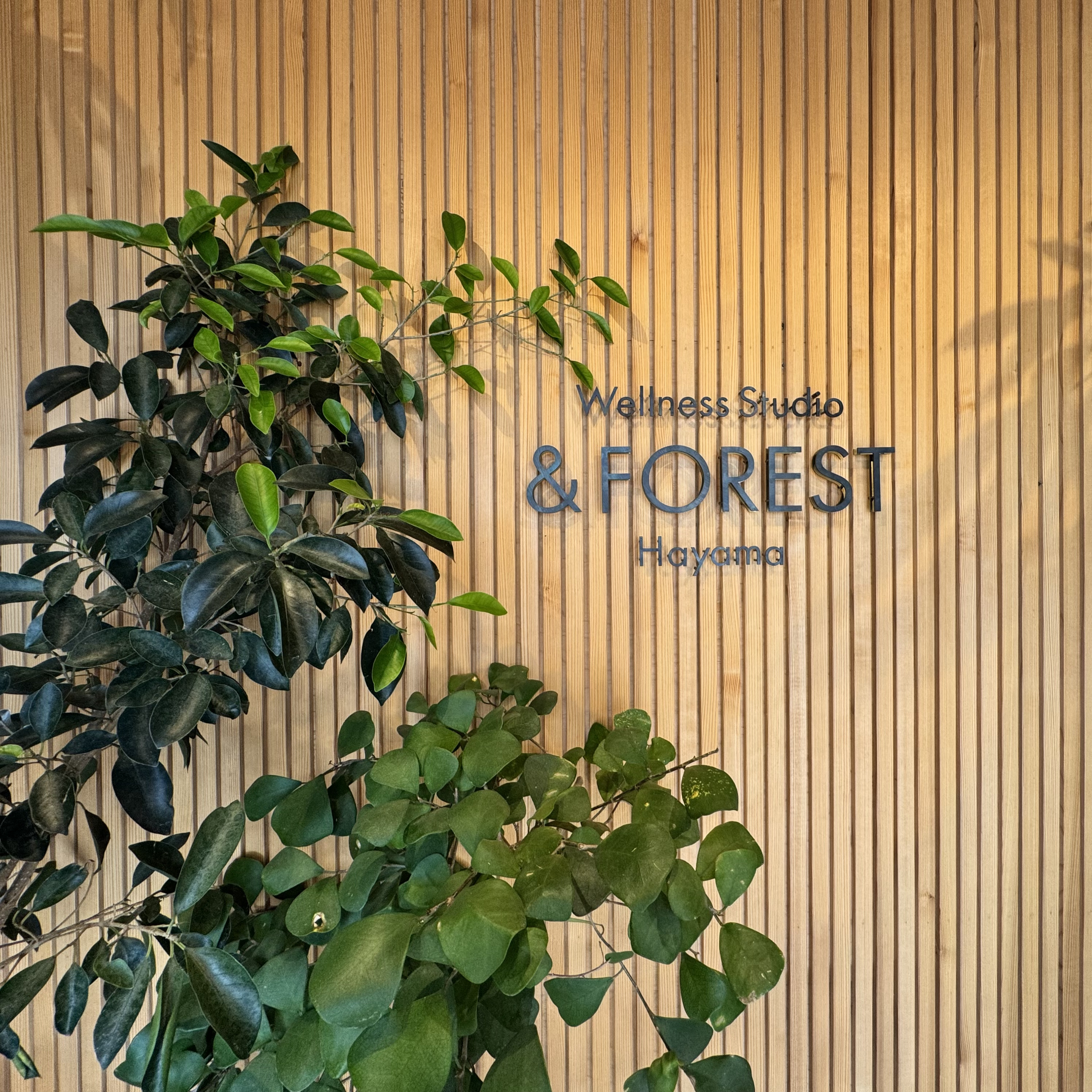 【葉山】24時間利用OK  まるで森の中にいる
ようなフィットネスジム &FOREST Hayama