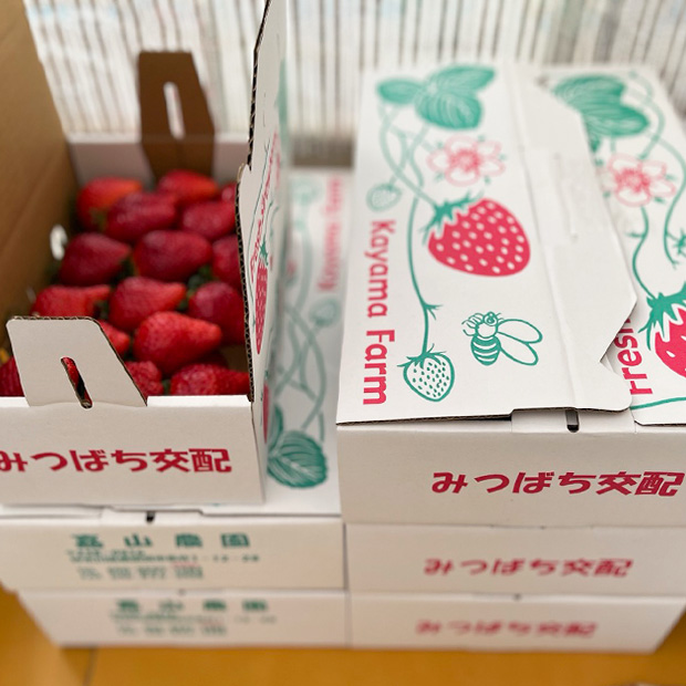 【横須賀】完熟いちご大福＆無添加ジャム
も大人気！「いちごはうす嘉山農園」