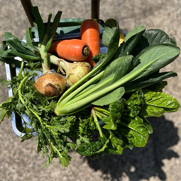 【三浦】旬の三浦野菜の恵みを味わう、YOSHIDA cafeの美味しい朝ごはんの理由