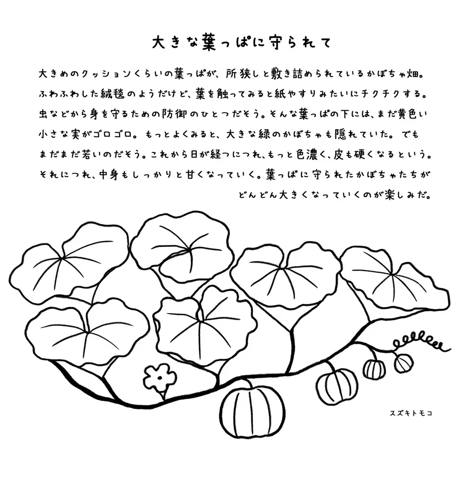 画像8