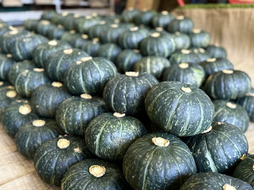 三浦】1日1000個完売！伊藤農園のとろ甘完熟かぼちゃがすごい理由