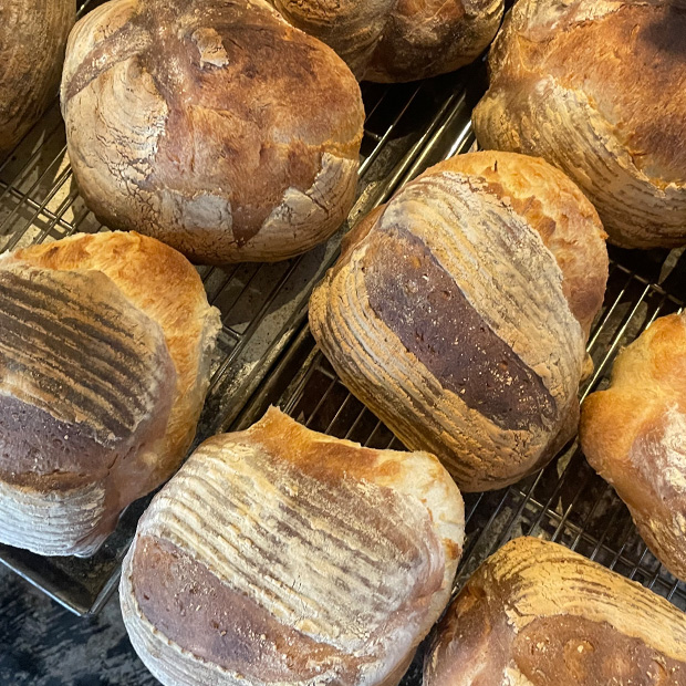 【横須賀】山の上に佇む静かな古民家カフェ
薪窯で焼き上げる香ばしいカンパーニュ