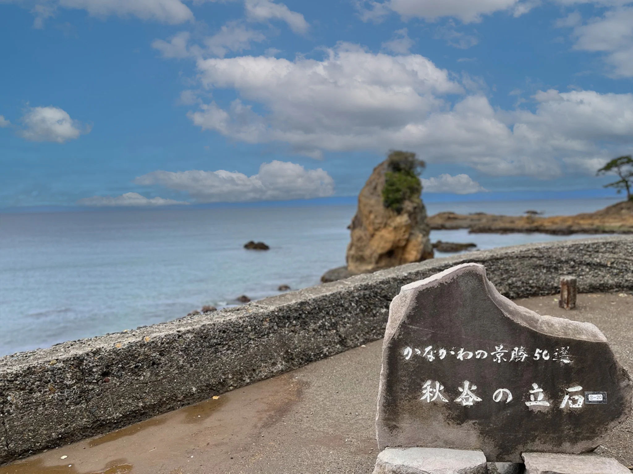 画像14