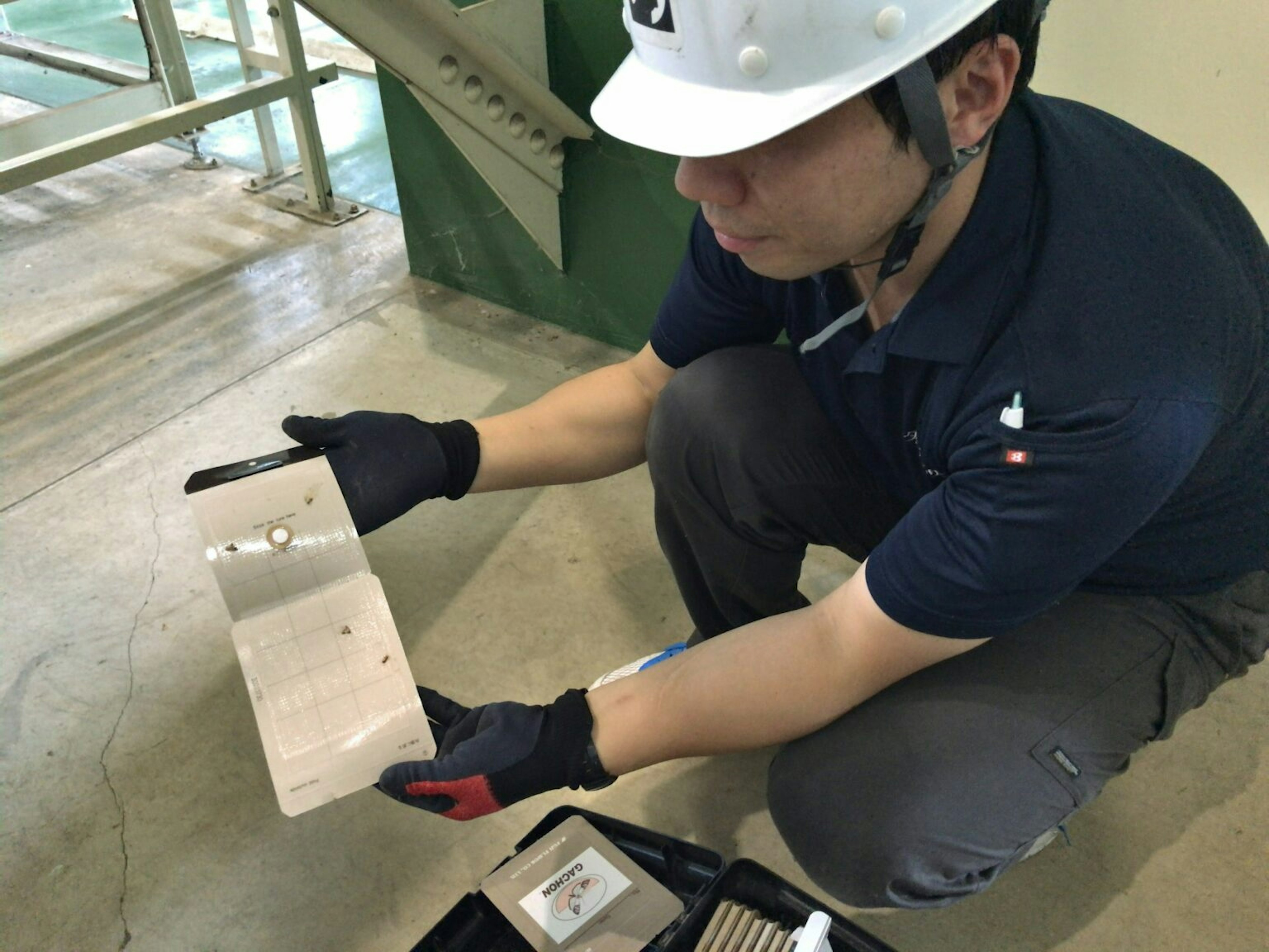 フェロモントラップの捕獲状況の確認をしている写真（イメージ）
