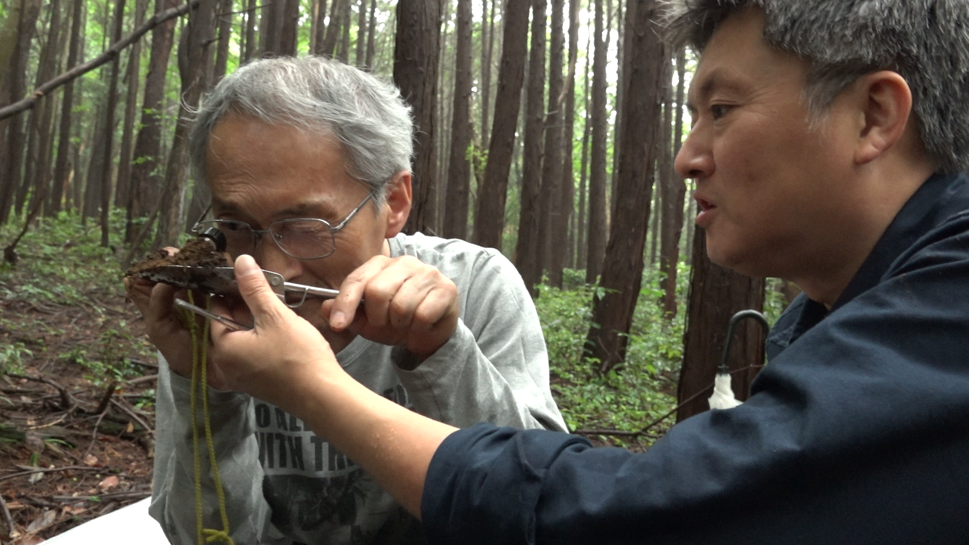 「うんこと死体の復権」