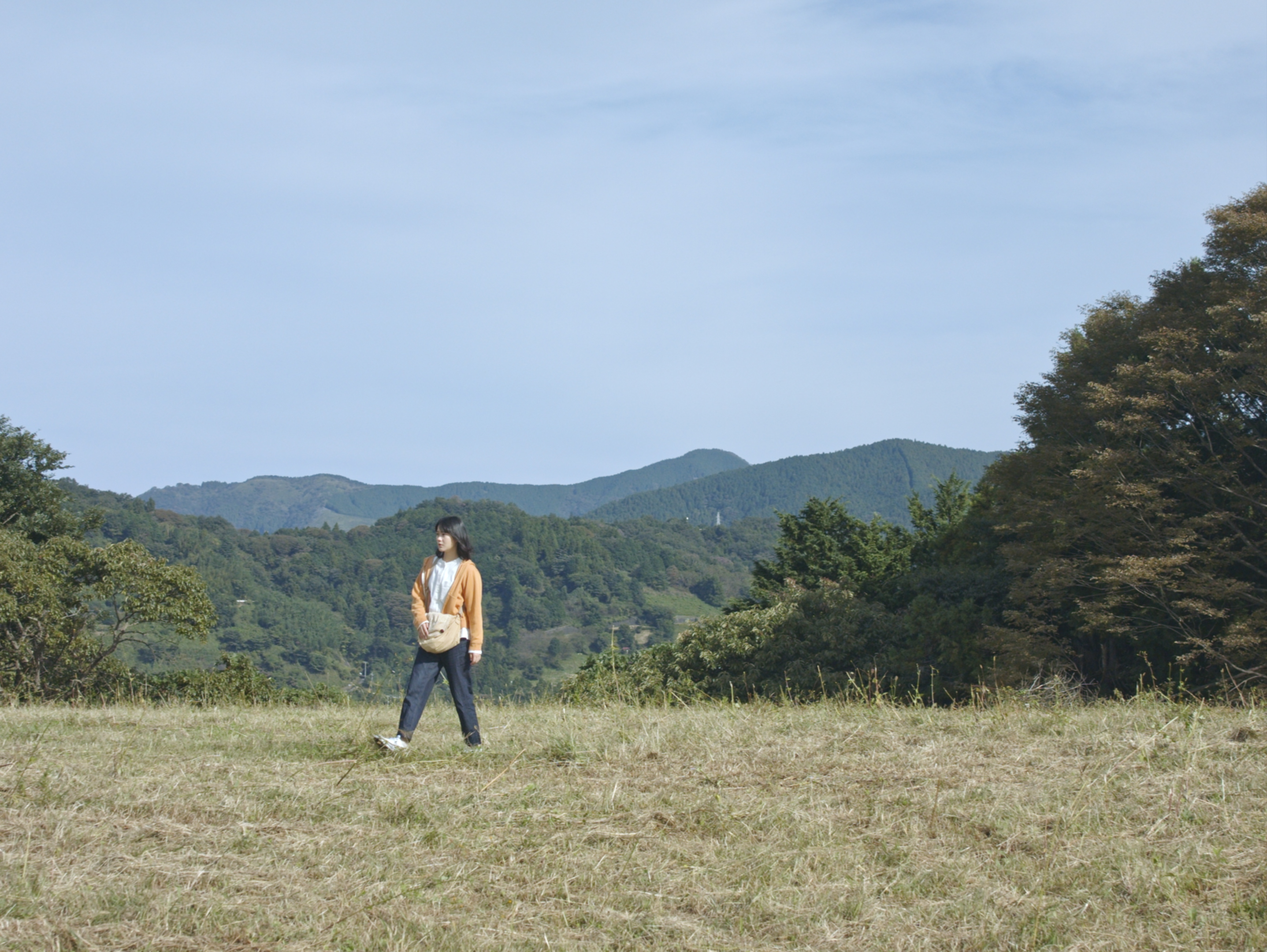 「石がある」