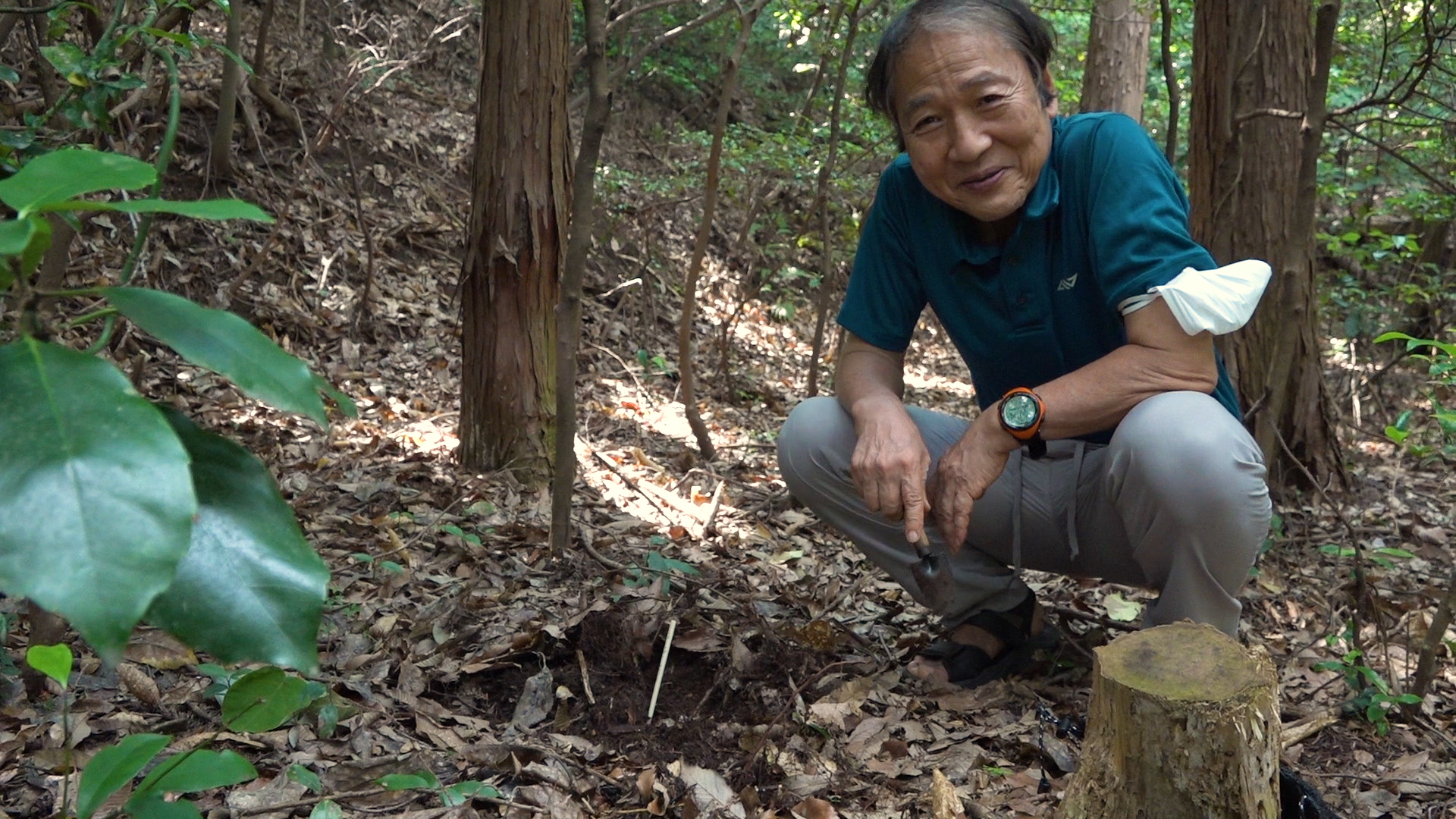 「うんこと死体の復権」