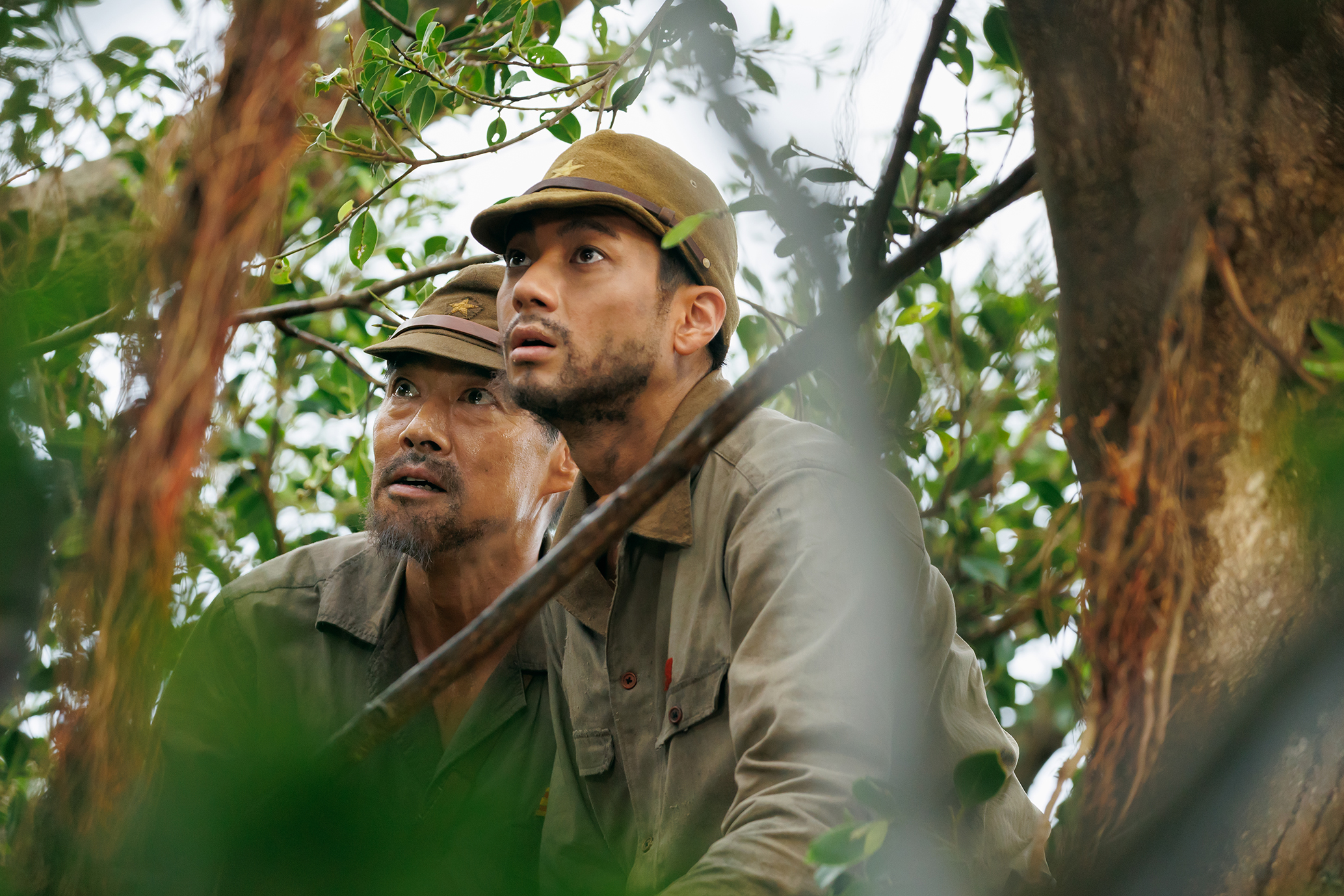 「木の上の軍隊」