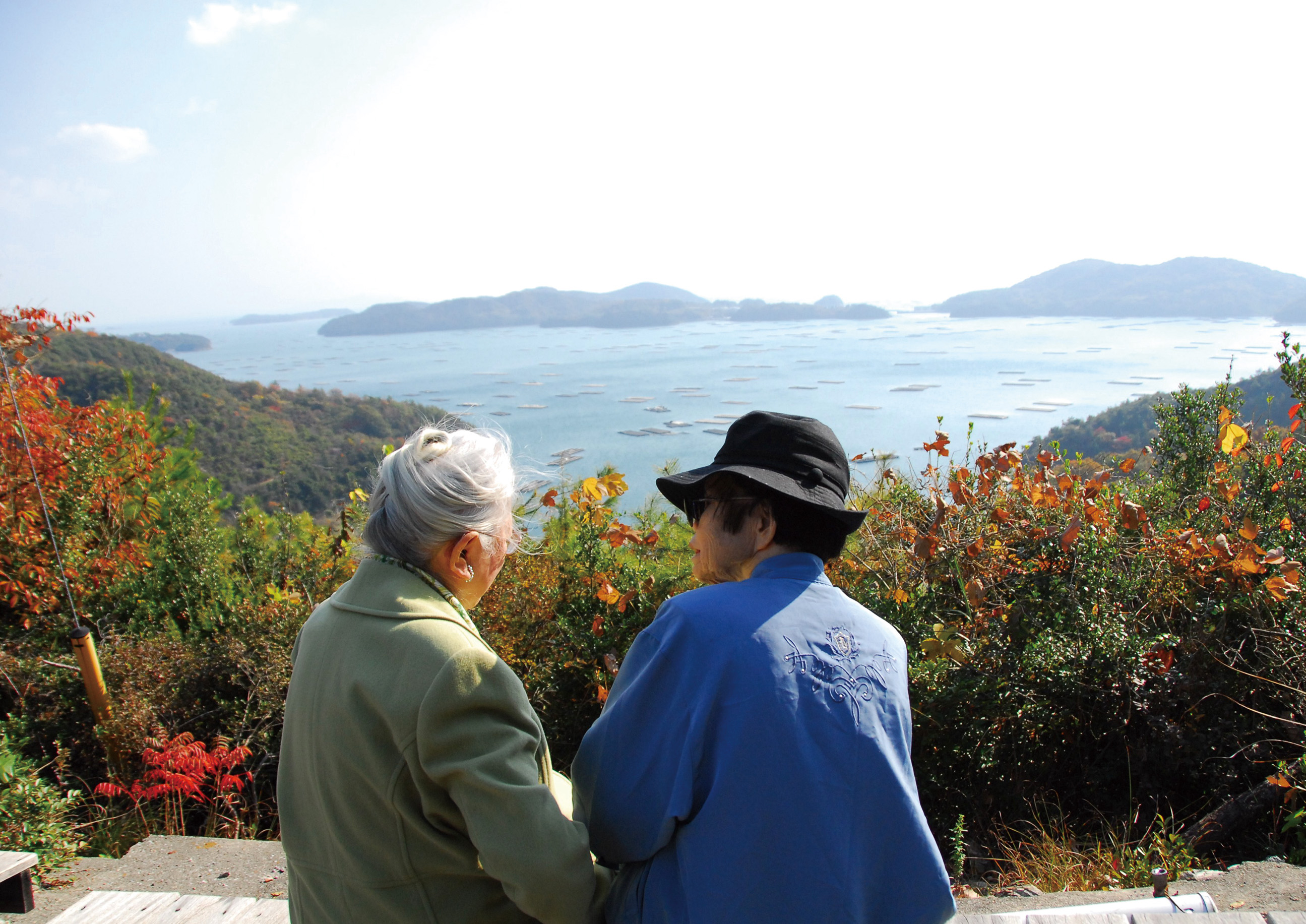 「天のしずく　辰巳芳子いのちのスープ」