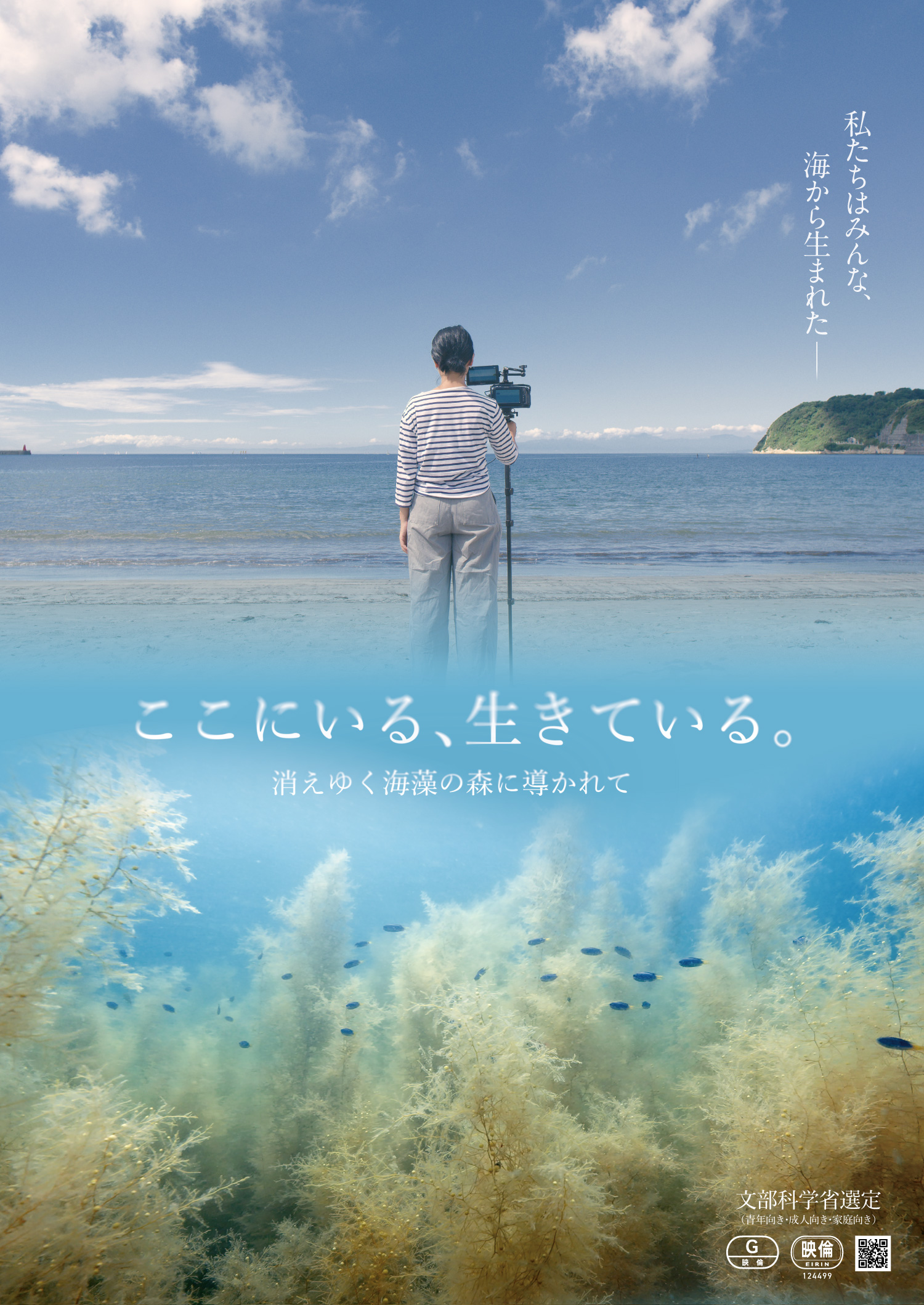 「ここにいる、生きている。〜消えゆく海藻の森に導かれて〜」