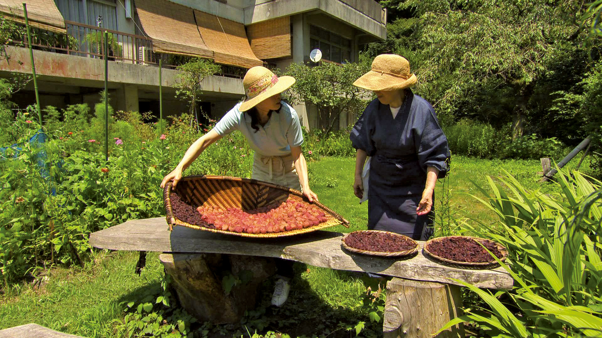 「天のしずく　辰巳芳子いのちのスープ」