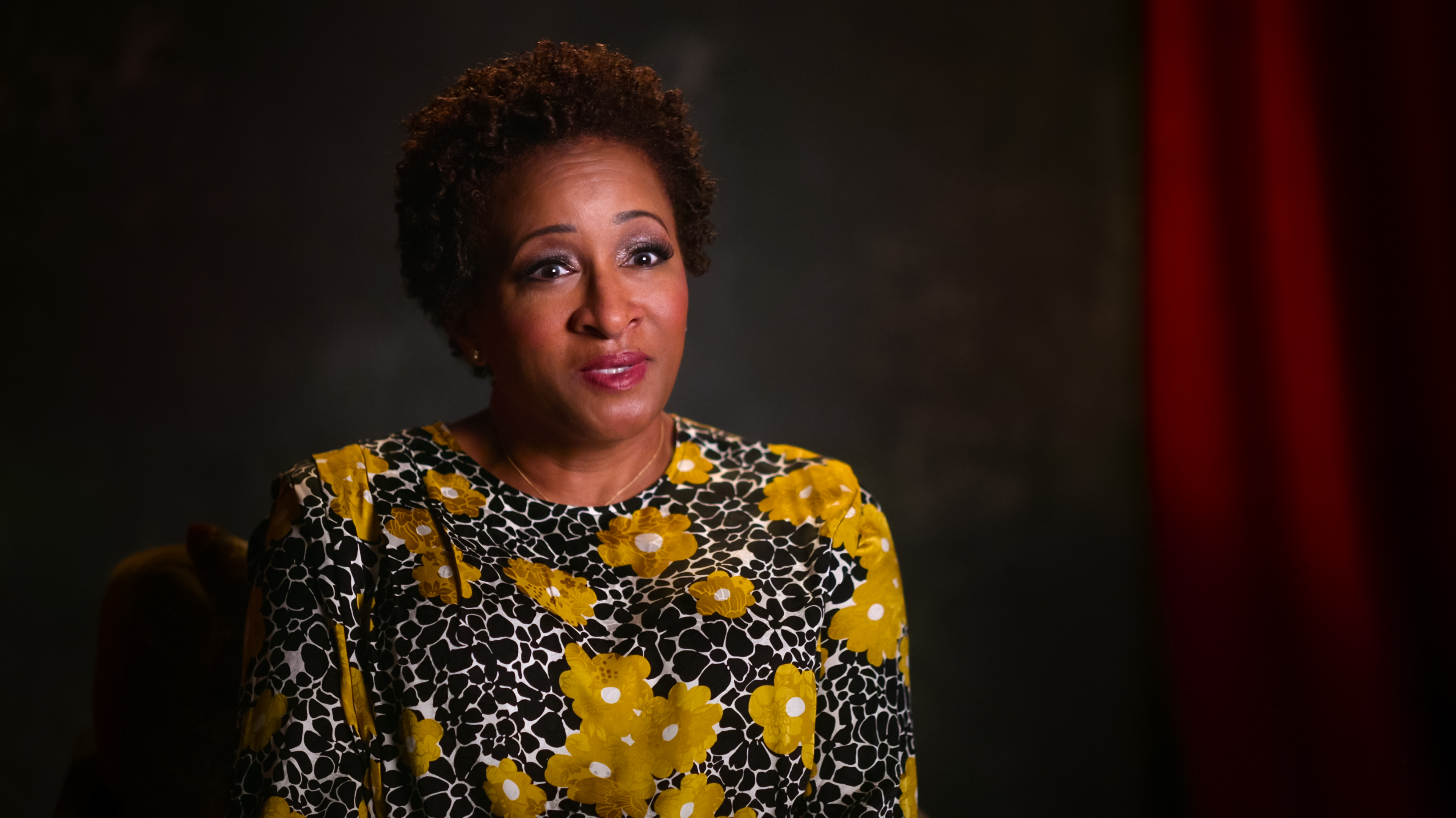 Wanda Sykes「アウトスタンディング: コメディ・レボリューション」