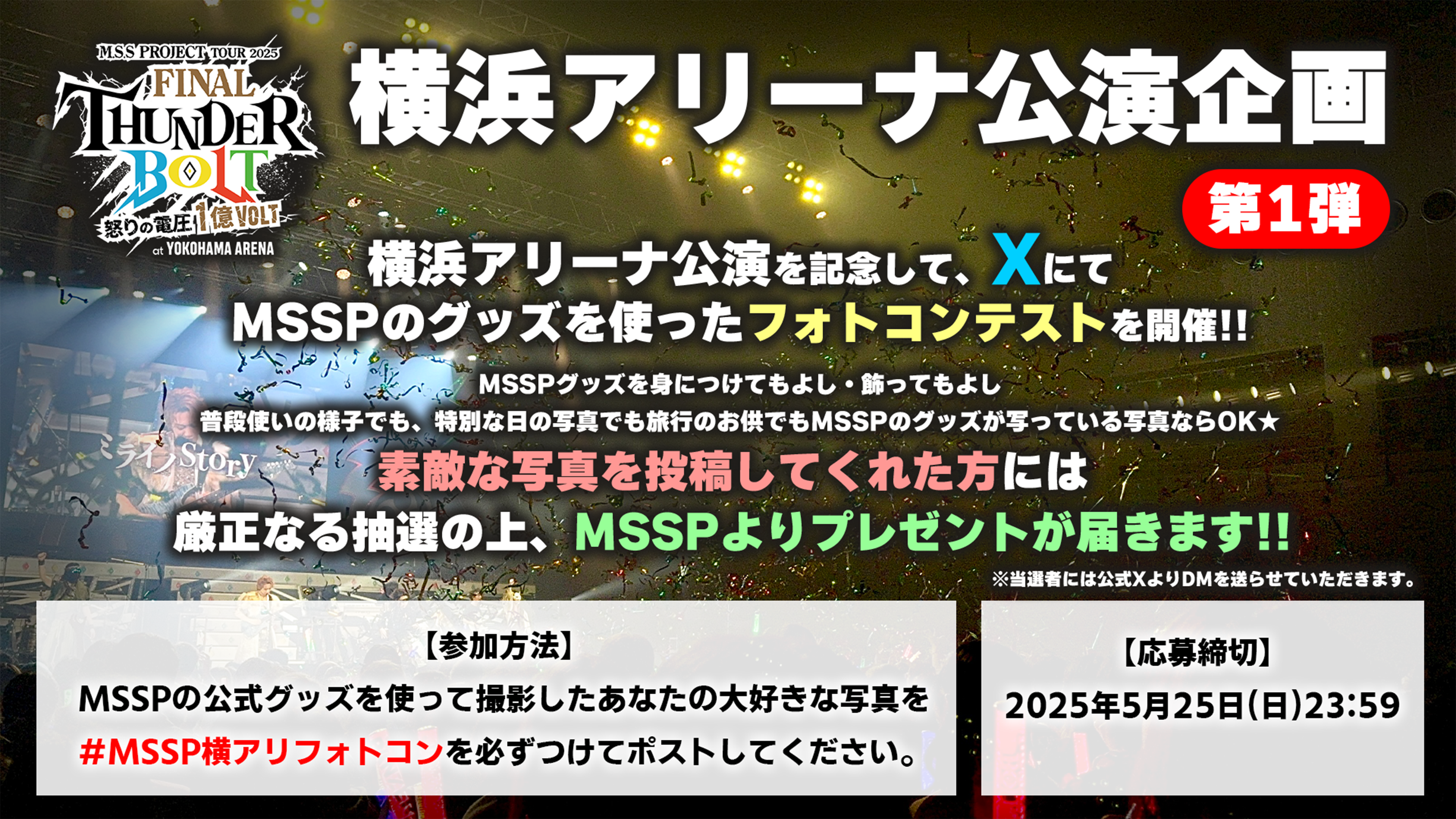 M.S.S Project ファイナルサンダーボルト～怒りの電圧1億Volt