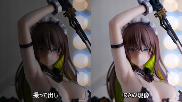 RAW現像・補正の例